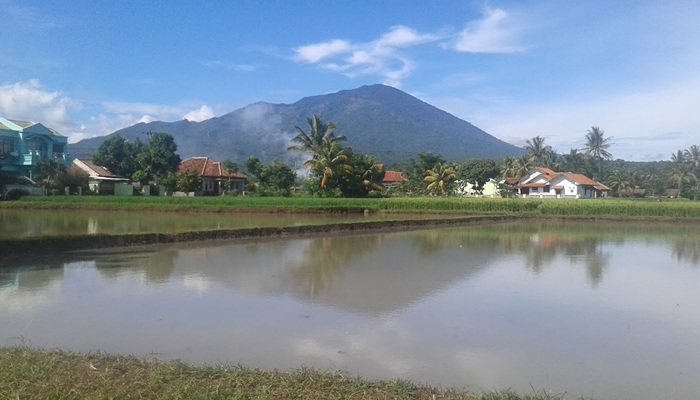 Wisata Perikanan